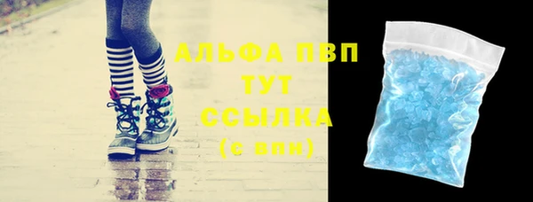 гидра Алексин