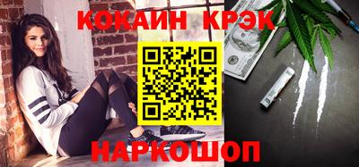 спайс Кингисепп