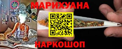 спайс Кингисепп