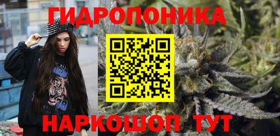 спайс Кингисепп