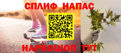 спайс Кингисепп