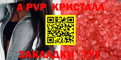 спайс Кингисепп