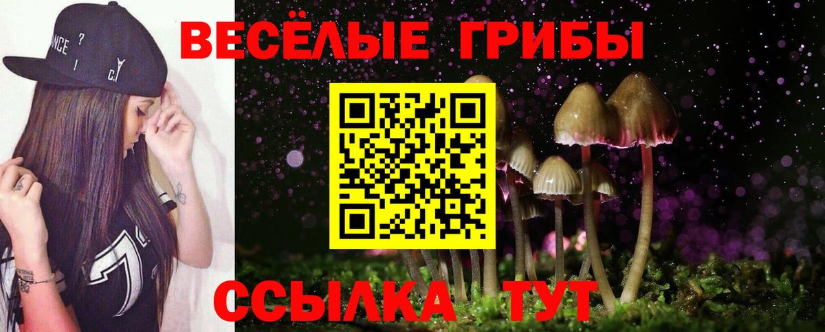 Псилоцибиновые грибы Magic Shrooms Коркино